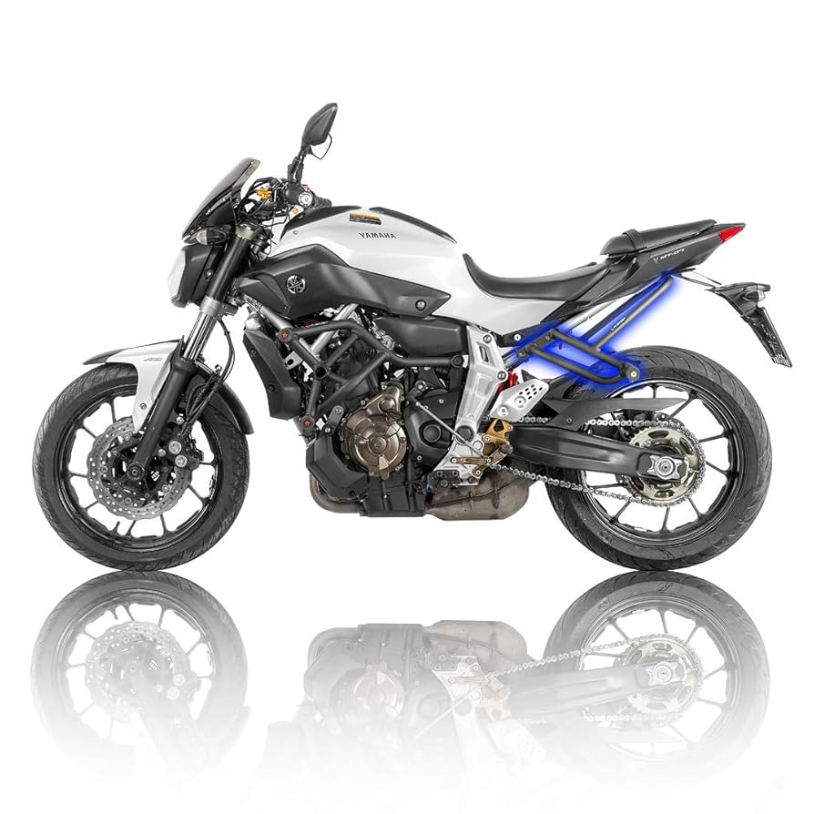 Amazon.com: R-Gaza Subcage Stunt Passenger Pegs for Yamaha